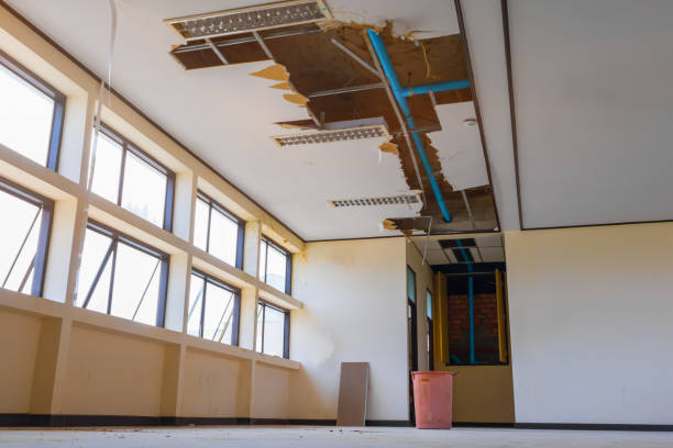 Best Fire Damage Restoration  in South Euclid, OH