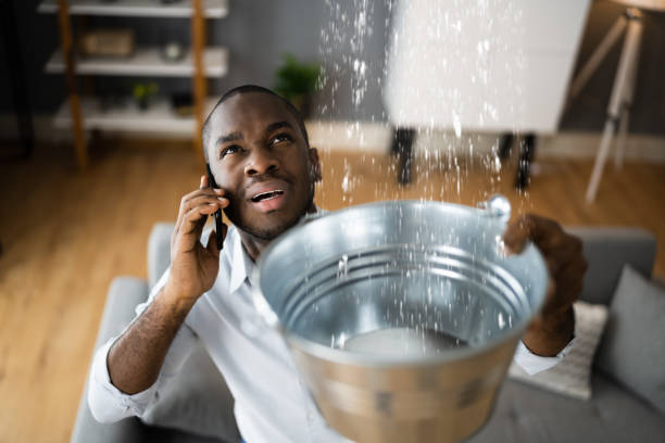 Best Flood restoration services  in South Euclid, OH
