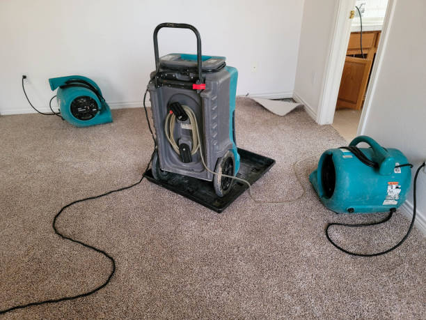 Best Sewage cleanup and water damage restoration  in South Euclid, OH