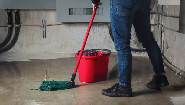 Best Flood damage cleanup  in South Euclid, OH