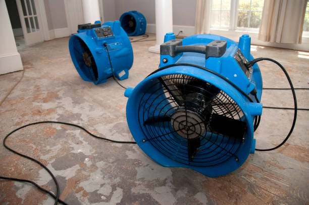 Best Professional water damage repair  in South Euclid, OH