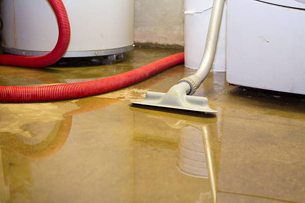 Best Professional water damage repair  in South Euclid, OH