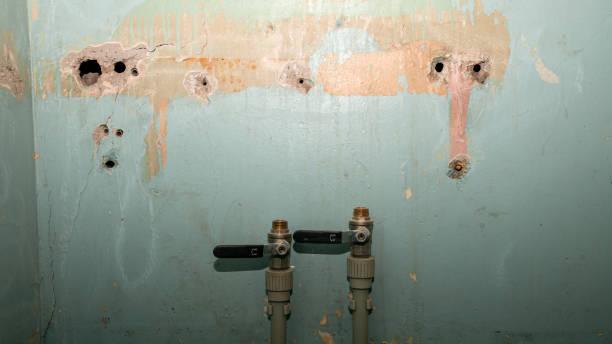 Best Carpet water damage restoration  in South Euclid, OH