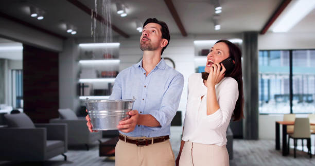 Best Local water damage restoration  in South Euclid, OH